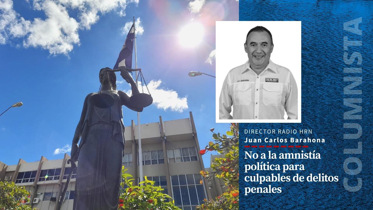 Imagen de No a la amnistía política para culpables de delitos penales