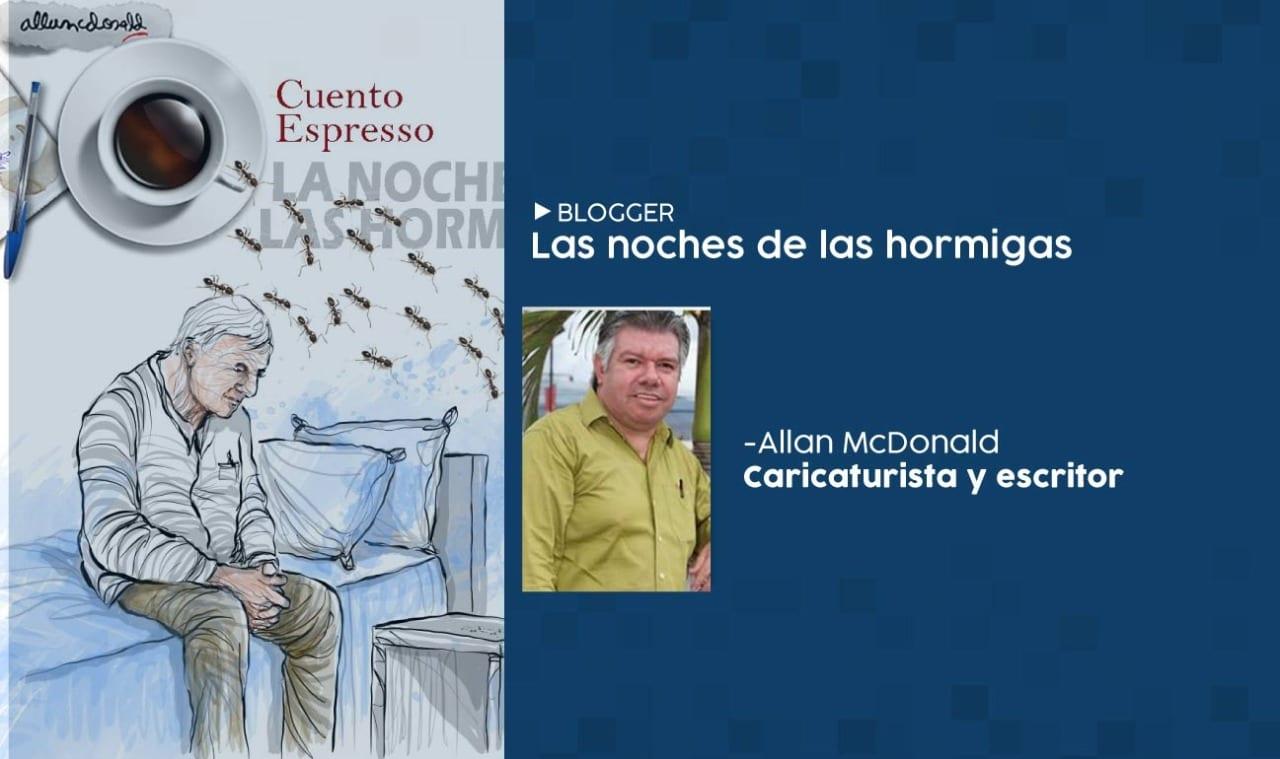 Imagen de La noche de las hormigas