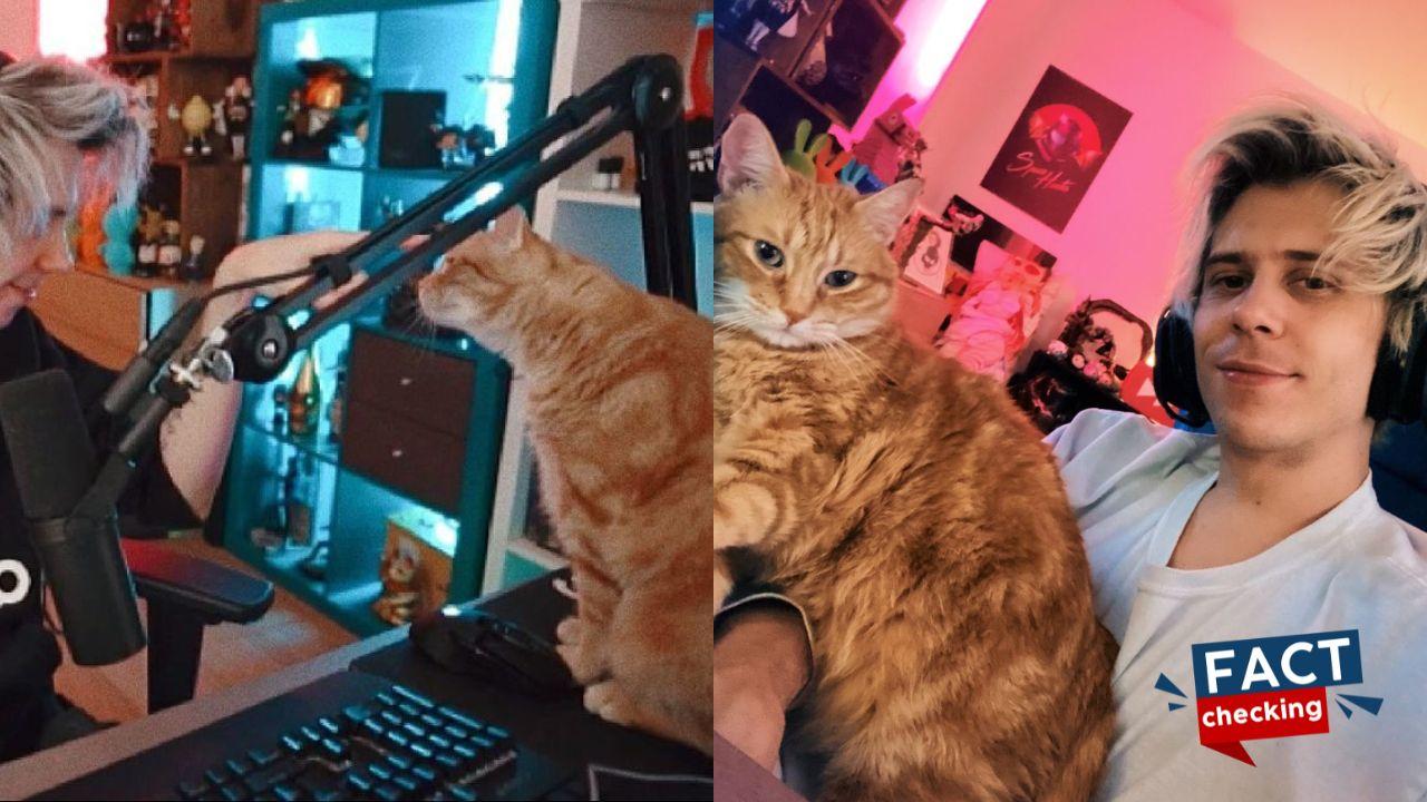 Stream Rubius ¿Es verdad que murió Wilson Rubius, qué le pasó al gato del streamer?