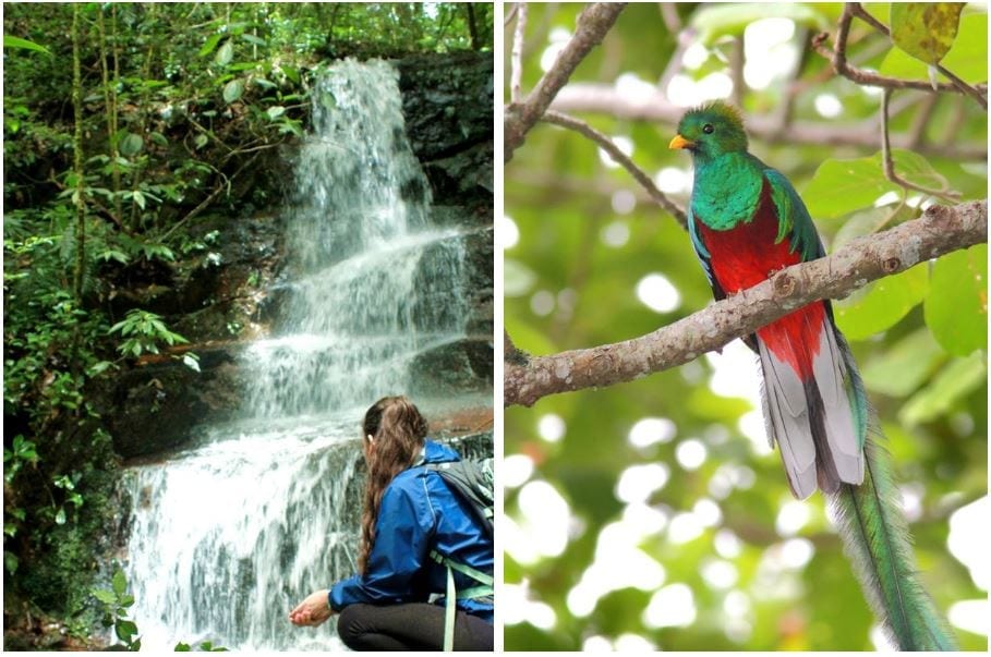 Imagen de Parque Nacional la Tigra un lugar lleno de fauna  cerca de Tegucigalpa🦁
