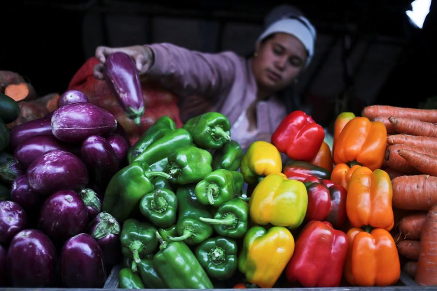 Verduras Honduras EFE