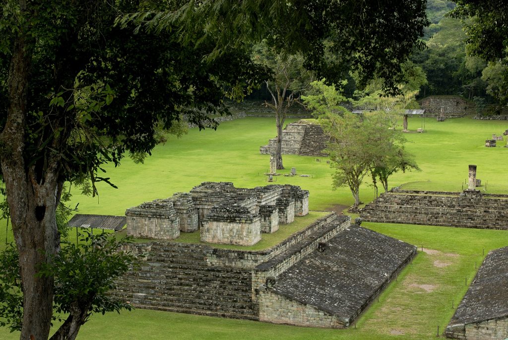 shutterstock_copan