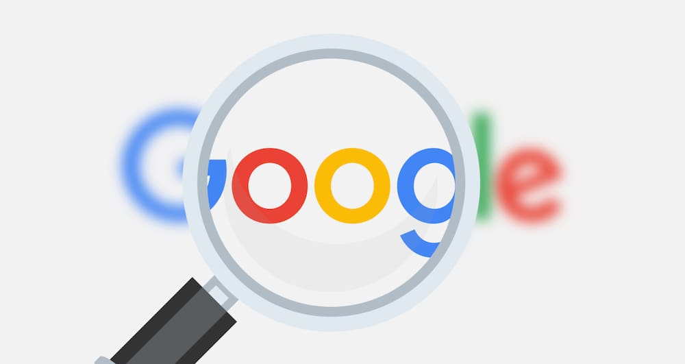 Esto fue lo más buscado en Google en el 2019 Imagen de Esto fue lo más buscado en Google en el 2019