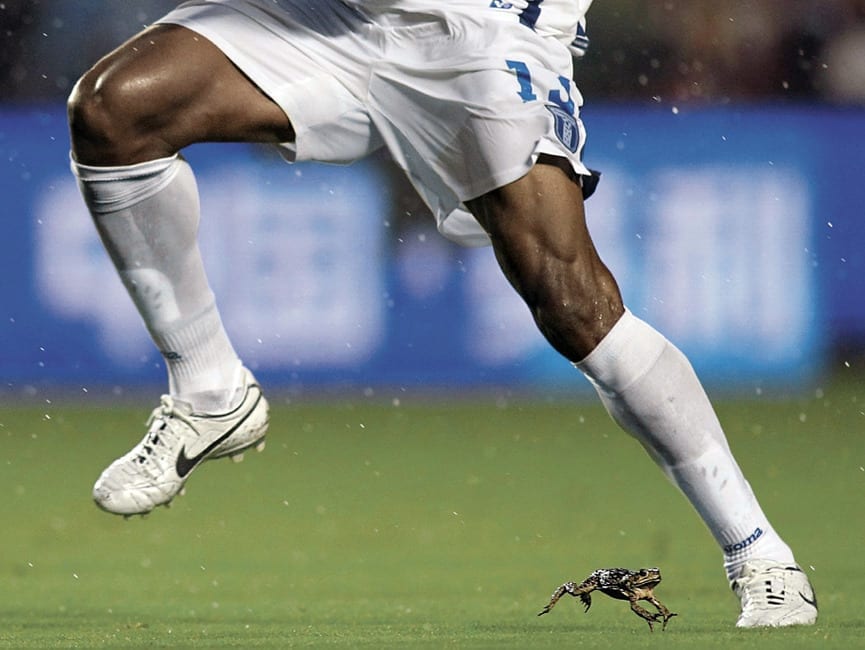 Imagen de La curiosa foto de Carlo Costly y una rana que se viraliza en redes