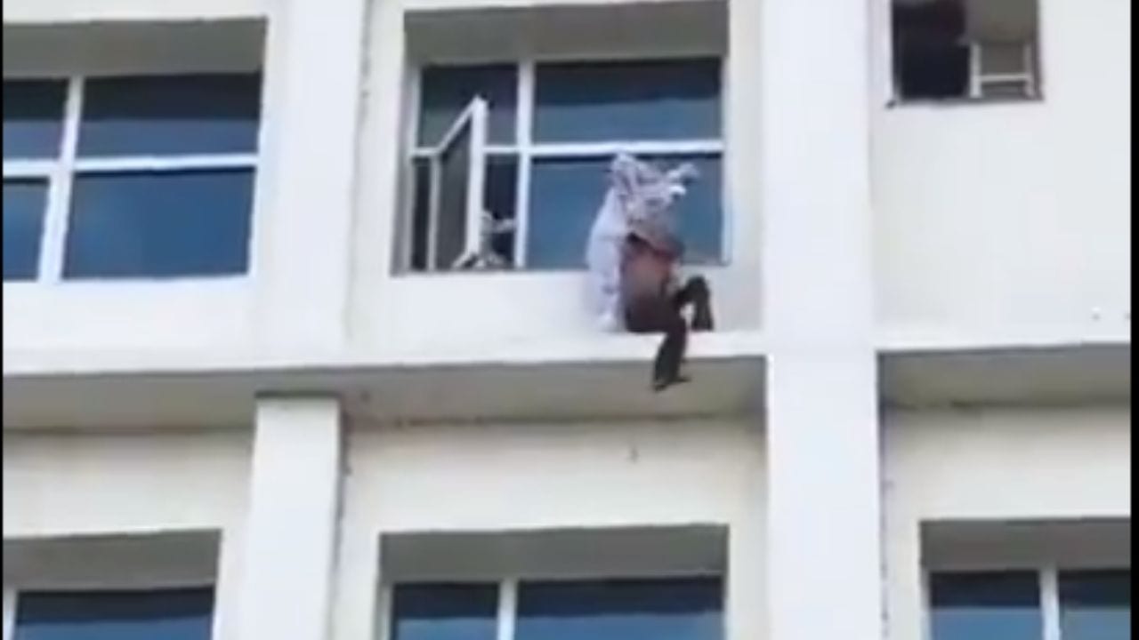 Médico arriesga su vida para evitar que paciente de covid se lance de un cuarto piso Imagen de Médico arriesga su vida para evitar que paciente de covid se lance de un cuarto piso