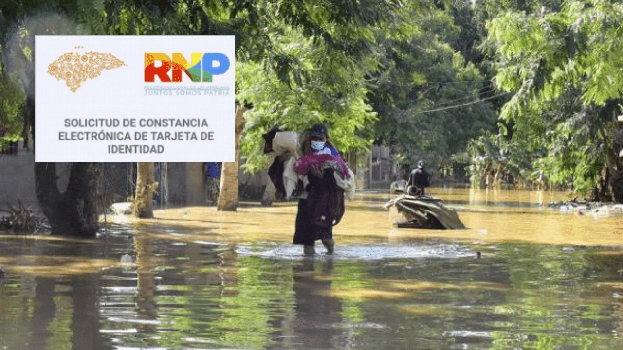 Imagen de RNP habilita identificación digital para hondureños que extraviaron sus documentos por Eta, mira de qué se trata
