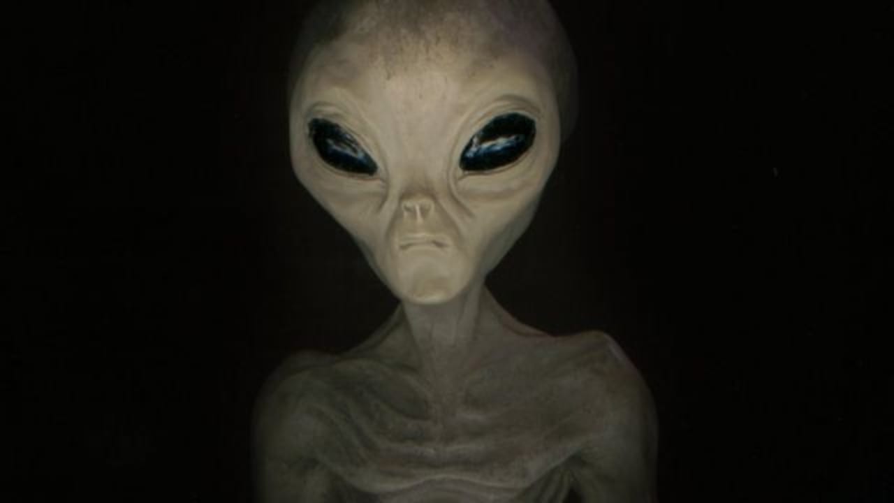 Exjefe de seguridad espacial de Israel aseguró que los extraterrestres sí existen Imagen de Exjefe de seguridad espacial de Israel aseguró que los extraterrestres sí existen