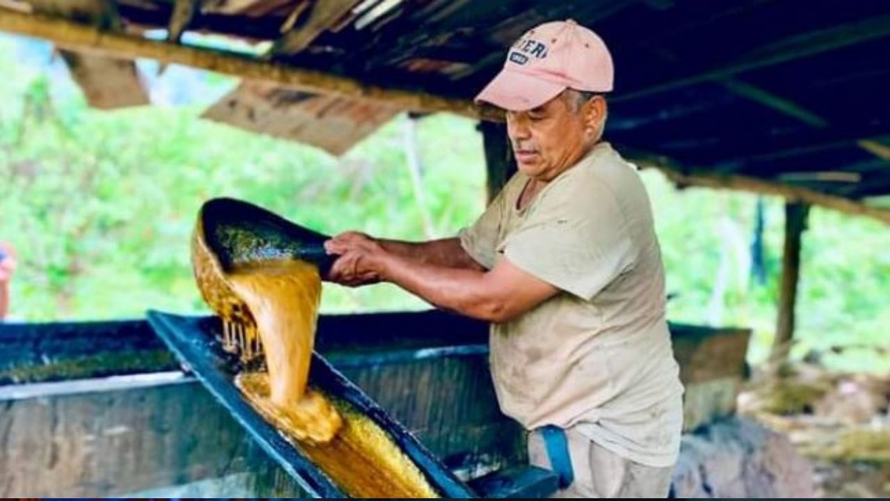 Familia hondureña elabora y vende dulce de panela a base de caña para subsistir en la pandemia Imagen de Familia hondureña elabora y vende dulce de panela a base de caña para subsistir en la pandemia