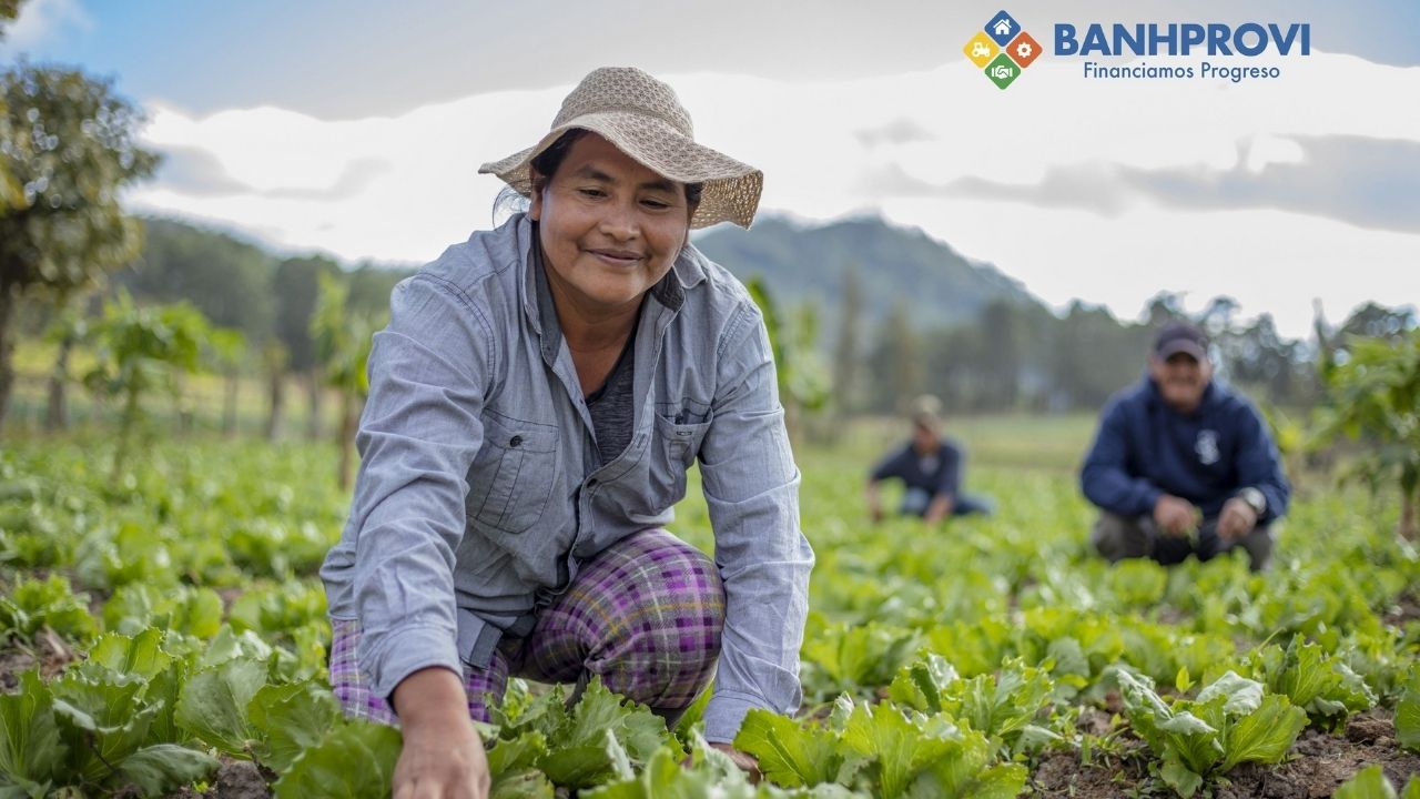 Agrocrédito 8.7 a una tasa preferencial del 5% para el sector productivo hondureño Imagen de Agrocrédito 8.7 a una tasa preferencial del 5% para el sector productivo hondureño