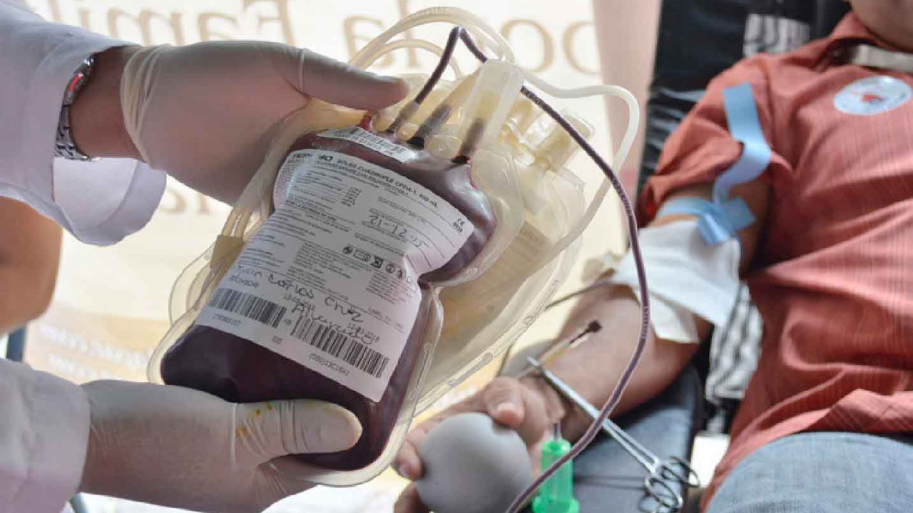 Aquí los pasos para hacer cita y poder donar sangre en Honduras según la Cruz Roja Imagen de Aquí los pasos para hacer cita y poder donar sangre en Honduras según la Cruz Roja