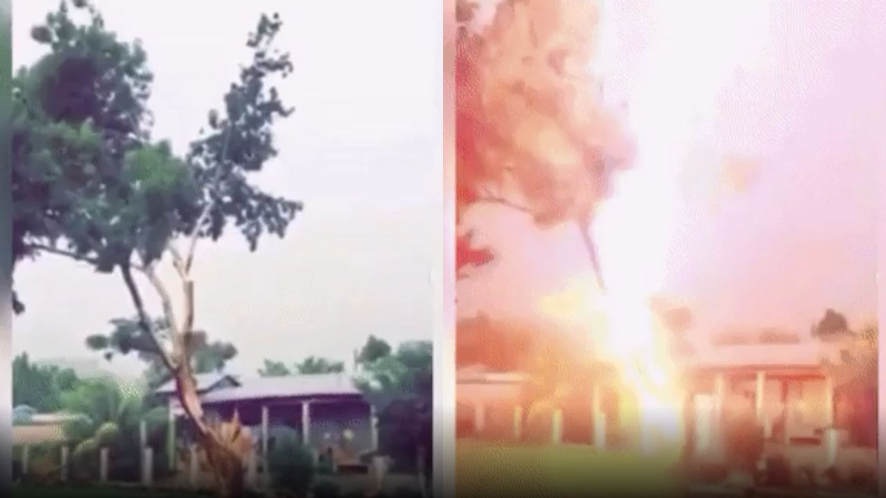 Impresionante vídeo capta el momento en que un rayo parte un árbol cercano a una casa en Honduras Imagen de Impresionante vídeo capta el momento en que un rayo parte un árbol cercano a una casa en Honduras
