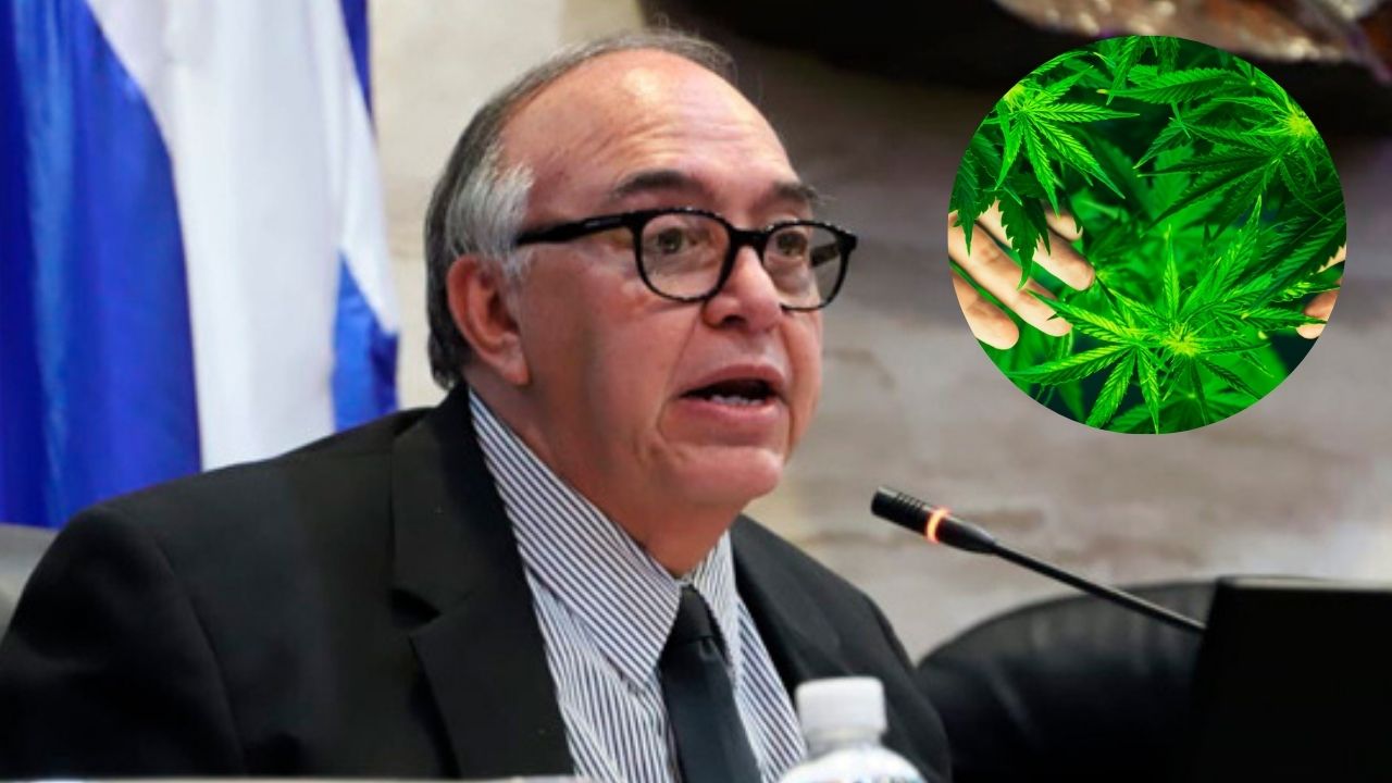 ¿Qué leyes deben revisarse en Honduras para legalizar el cannabis de uso medicinal? Imagen de ¿Qué leyes deben revisarse en Honduras para legalizar el cannabis de uso medicinal?