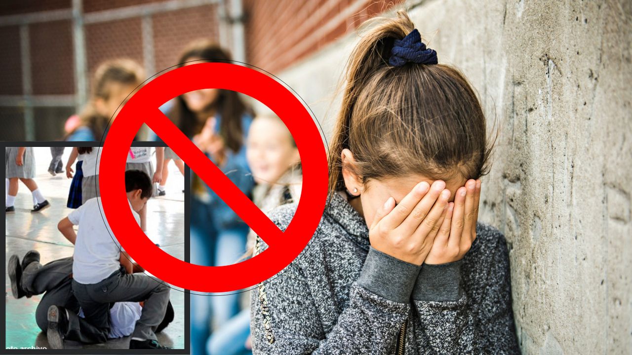 Imagen de Día Internacional de la Lucha Contra Acoso Escolar, ¿qué efectos tiene el Bullying?