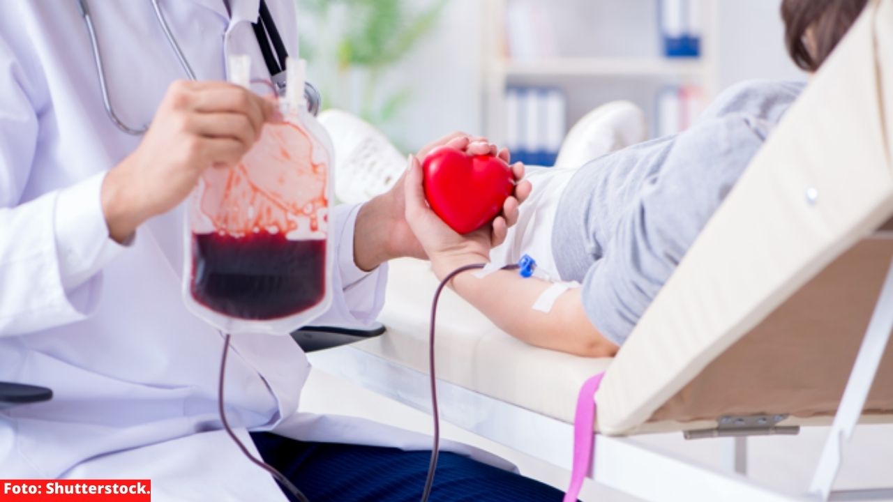 Estos consejos debes seguir antes de donar sangre Imagen de Estos consejos debes seguir antes de donar sangre