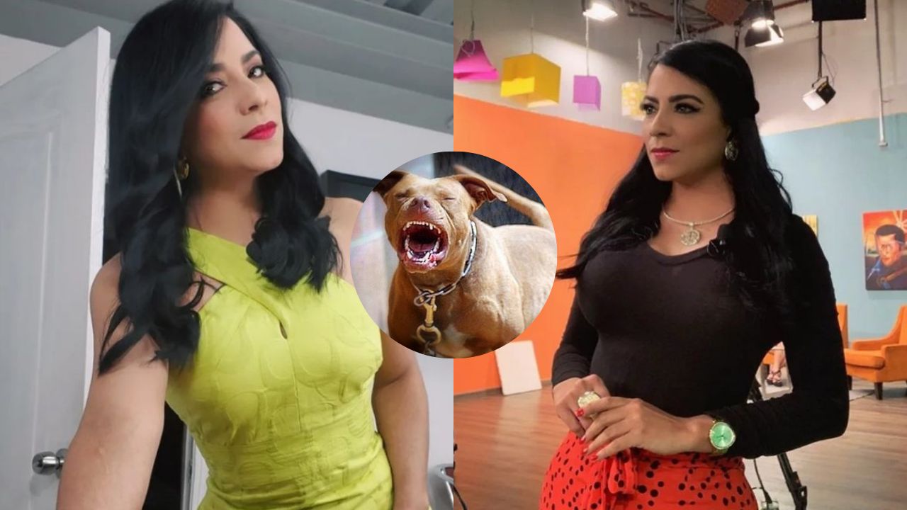 'Tiene 48 horas vitales': Este es el estado de salud de periodista hondureña que fue atacada por un pitbull Imagen de 'Tiene 48 horas vitales': Este es el estado de salud de periodista hondureña que fue atacada por un pitbull