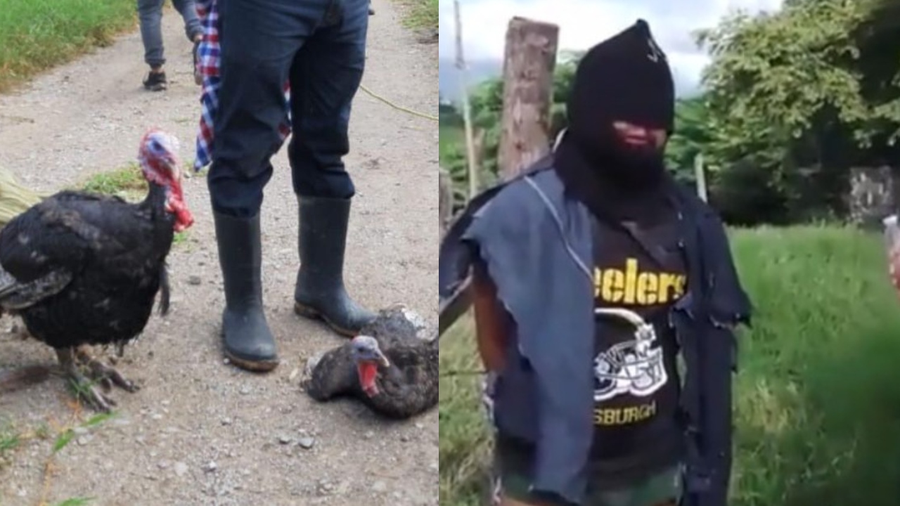 Imagen de Video: Por supuestamente robar jolotes, queman a un hombre en México