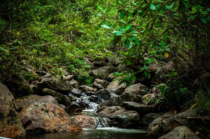 Celaque significa "caja de agua" y desde ahí nacen varios riachuelos y nueve ríos que son la fuente de agua para 120 comunidades.