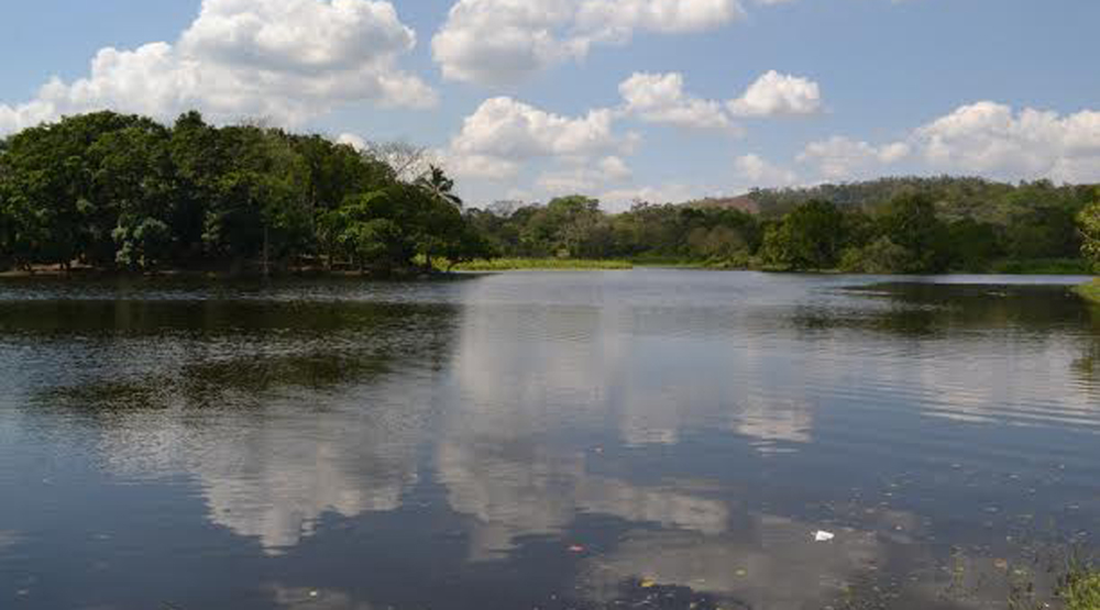Este espejo de agua tiene una extensión aproximada de 294 hectáreas. Foto: Honduras Tips