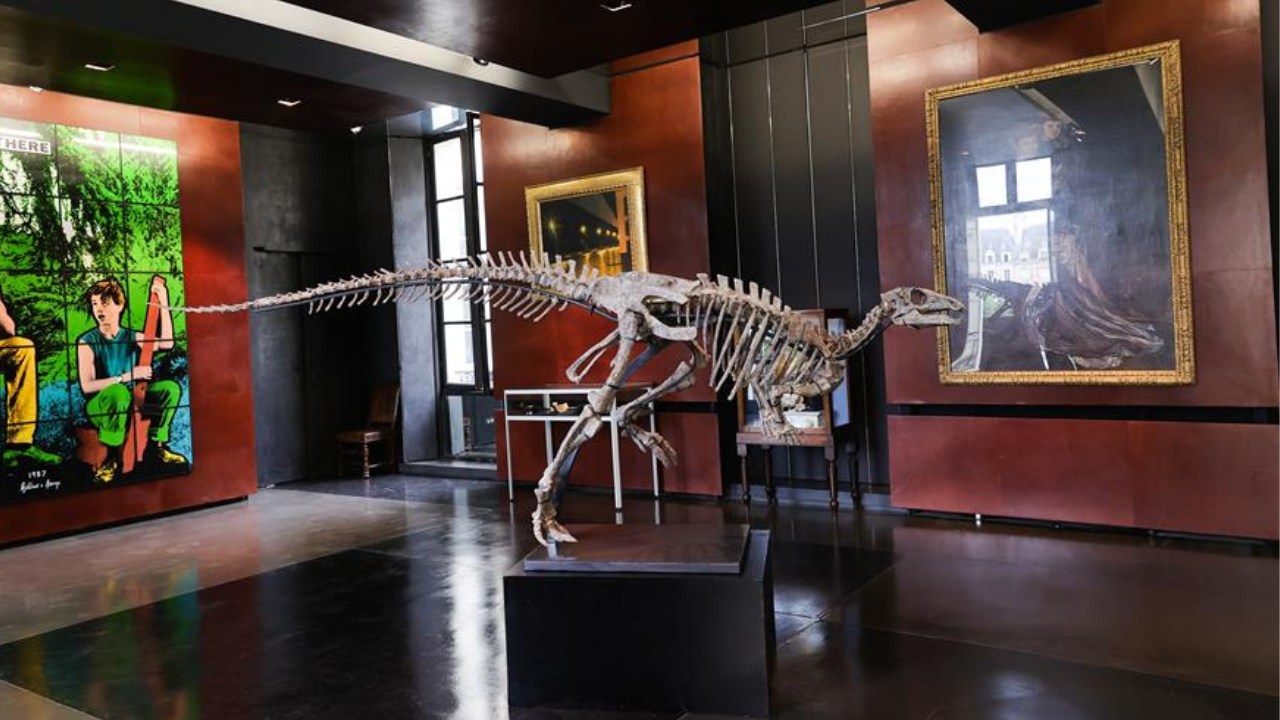 Subastan en París un dinosaurio que vivió hace 150 millones de años Imagen de Subastan en París un dinosaurio que vivió hace 150 millones de años
