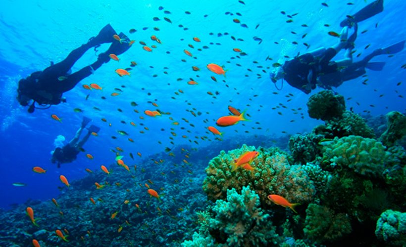 Turismo de playa en Honduras
