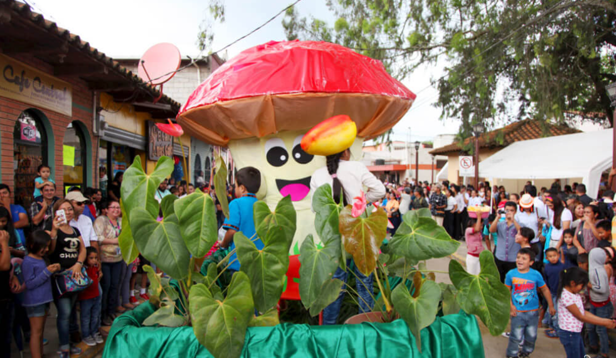 Carroza de hongos en el Festival del Choro en Intibucá. Foto: Honduras Tips