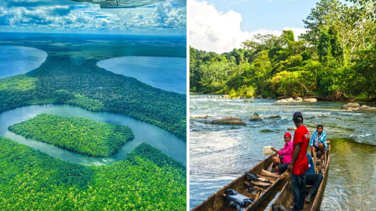 Imagen de Biosfera del Rio Plátano de Honduras, dónde queda y qué podemos encontrar en el segundo pulmón del planeta