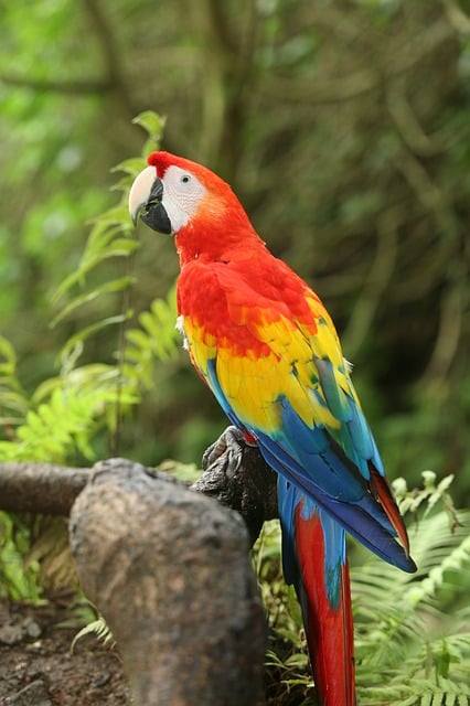 30 maravillas de Honduras
