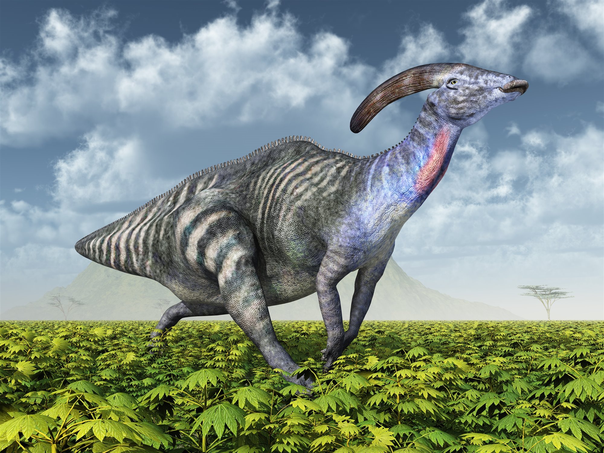 Dinosaurios