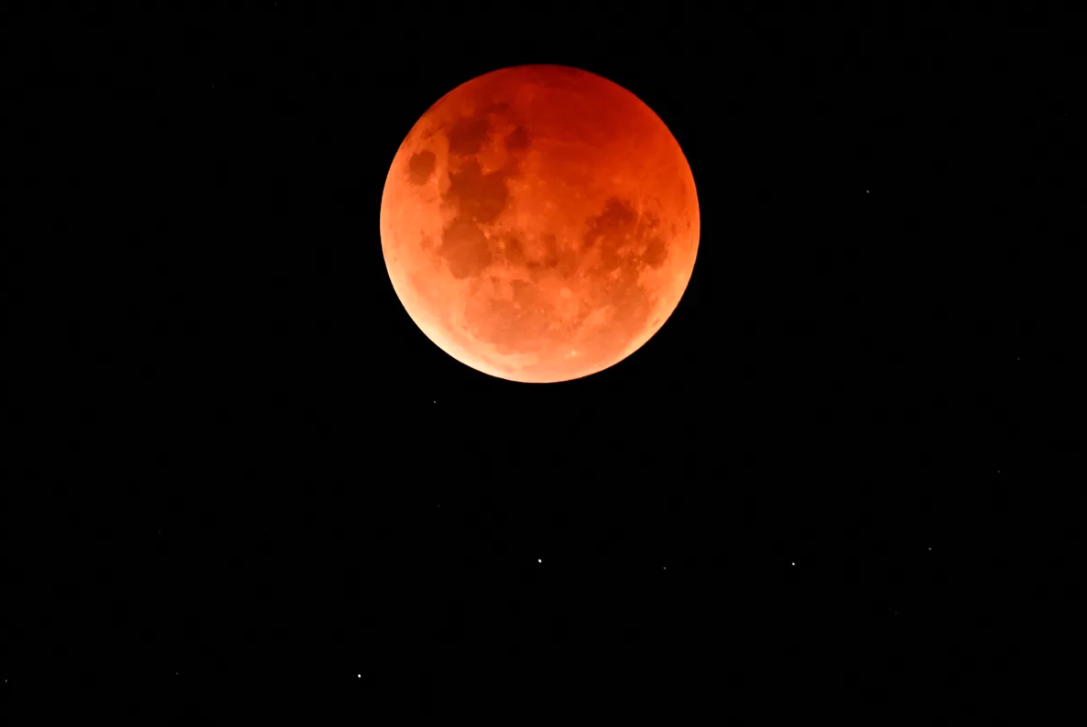 Eclipse lunar visto desde Melbourne, Australia el 8 de noviembre, Foto: Paul Crock/ AFP