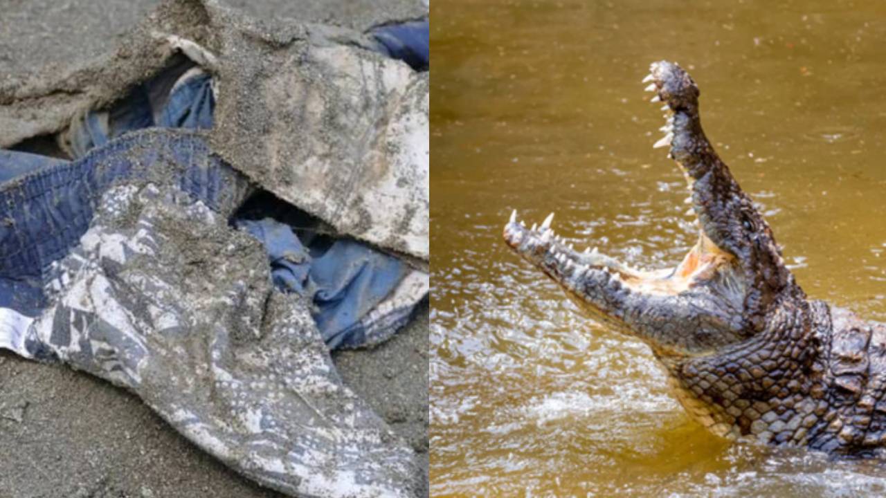 Imagen de 'Fue duro ver cómo se lo llevaba al río', relato de la madre de niño atacado por cocodrilo en Costa Rica