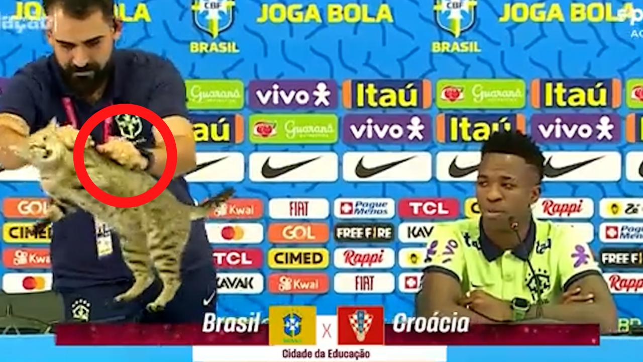 Demanda millonaria por maltrato animal recibe Brasil por el polémico trato al gato de la conferencia de Vinicius Imagen de Demanda millonaria por maltrato animal recibe Brasil por el polémico trato al gato de la conferencia de Vinicius