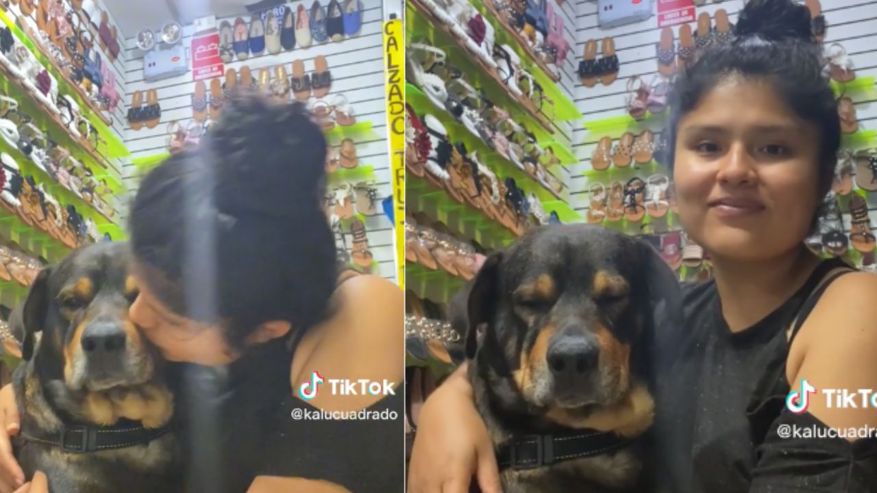 Video: Perrito emprendedor ayuda a su ama a vender en su negocio Imagen de Video: Perrito emprendedor ayuda a su ama a vender en su negocio