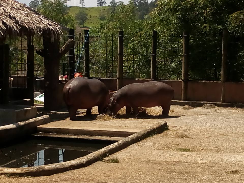 Joya Grande Honduras