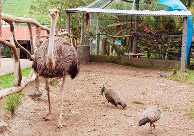 Joya Grande Honduras