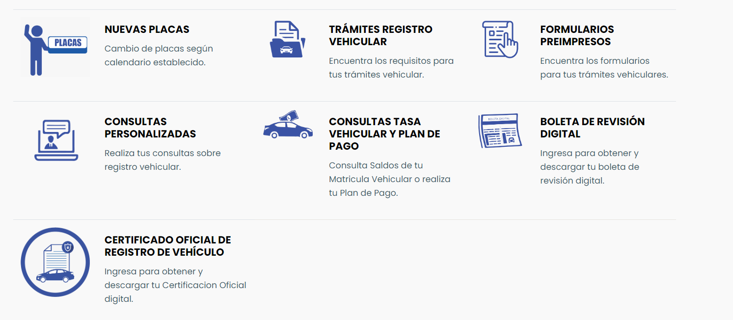 Opciones a consultar en la página web del IP. Foto: IP