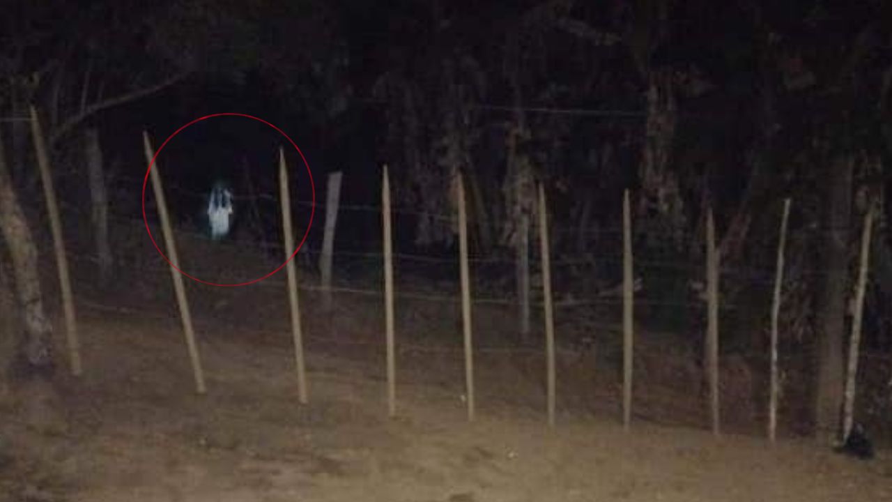 Video: 'la mujer de blanco', extraña aparición que aterroriza poblado Imagen de Video: 'la mujer de blanco', extraña aparición que aterroriza poblado