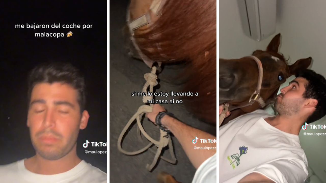 Video: Joven ebrio se lleva un caballo a su casa y lo presume en TikTok Imagen de Video: Joven ebrio se lleva un caballo a su casa y lo presume en TikTok