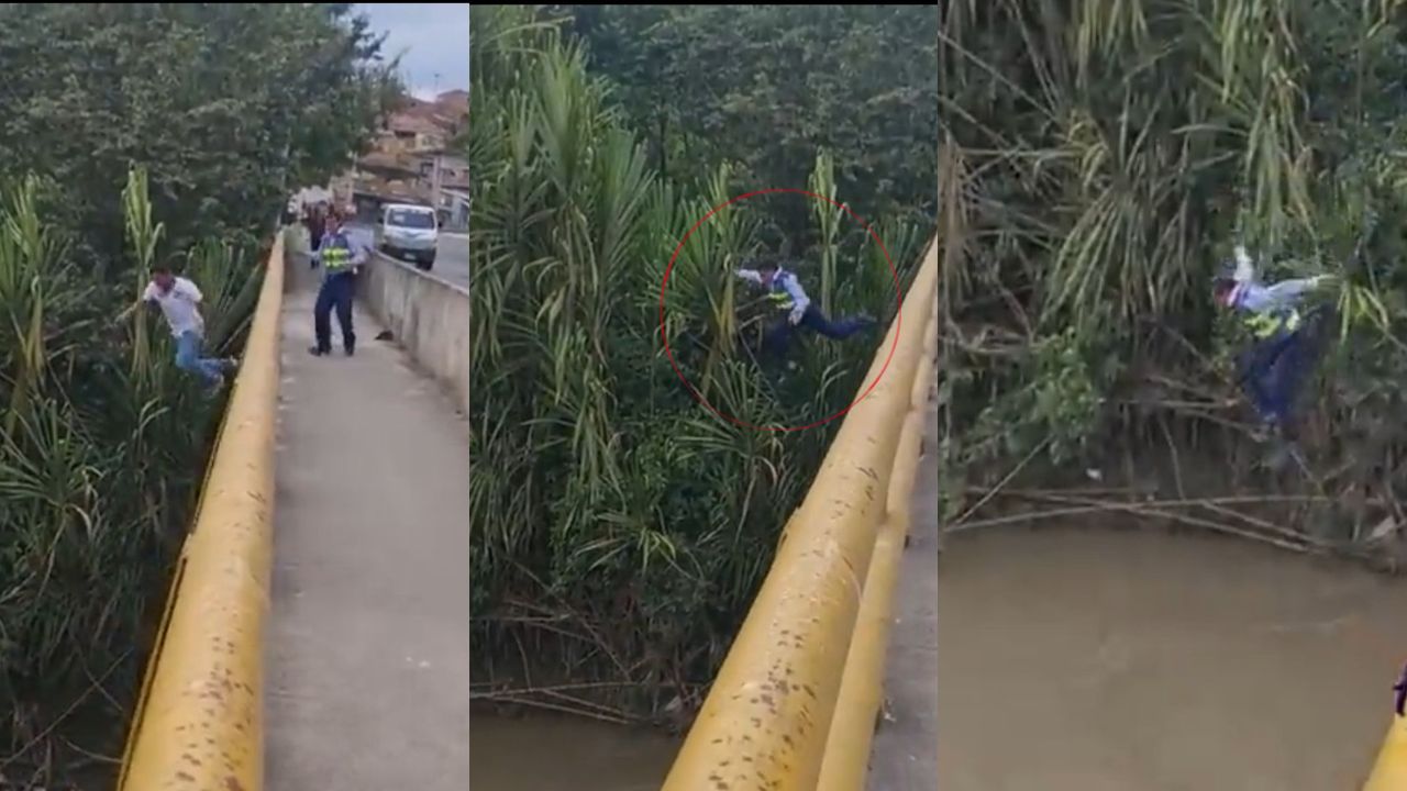 Imagen de Video: hombre se lanza de un puente para evitar multa; agente fue tras él