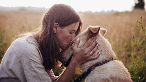 El Día del Animal tiene el fin de concientizar sobre la importancia de la protección y el bienestar de los animales. Foto: Confidencial Digital