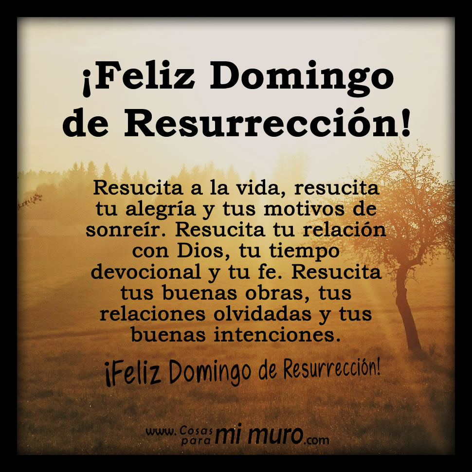 Imagen de reflexión sobre la importancia del Domingo de Resurrección. Foto: Redes sociales