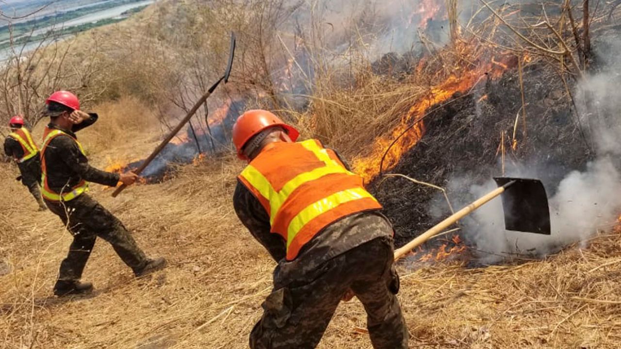 Honduras celebra Día de Tierra afectada por incendios y llamados a protegerla Imagen de Honduras celebra Día de Tierra afectada por incendios y llamados a protegerla