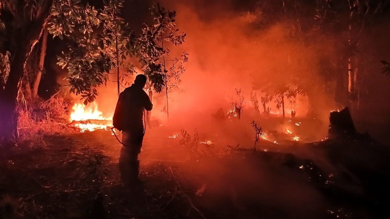 Capturan a nueve personas por provocar incendios forestales Imagen de Capturan a nueve personas por provocar incendios forestales