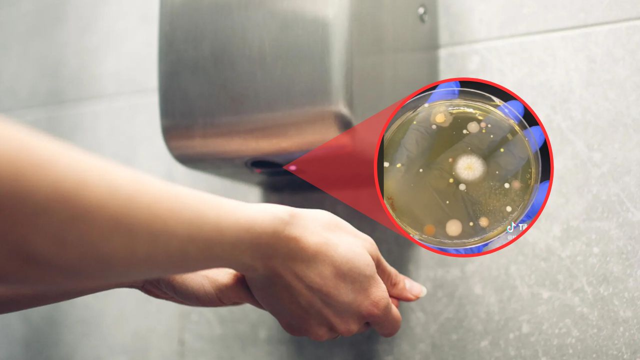 Imagen de Secadores de manos de baños serían un riesgo para la salud, según estudio