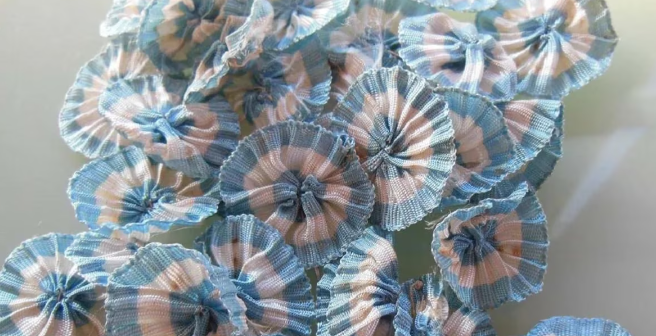 La escarapela tradicionalmente tiene una forma circular. Foto: Infobae