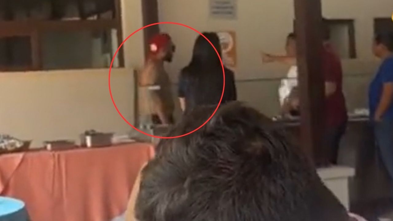 Imagen de VIDEO: Mesero es golpeado por hombre en hotel de Tegucigalpa