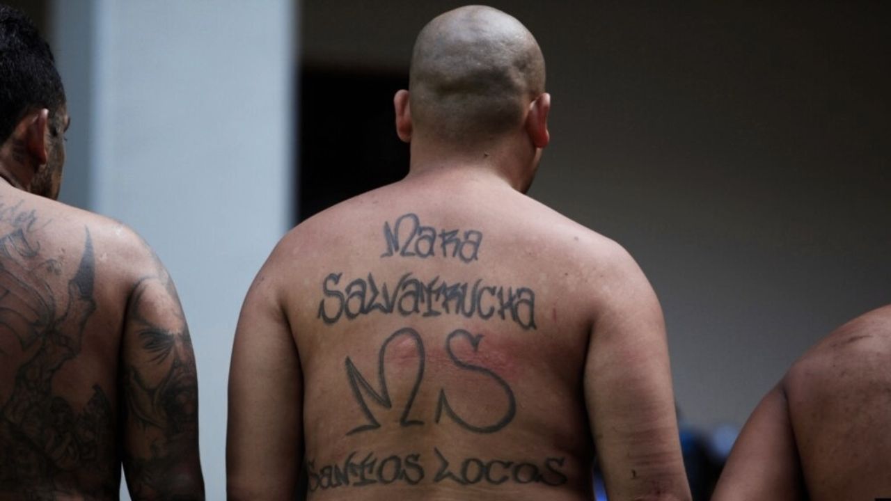 Imagen de 'Éramos entrenados por marines de EE. UU.': marero cuenta los vínculos de la MS-13 con el Cartel de Sinaloa