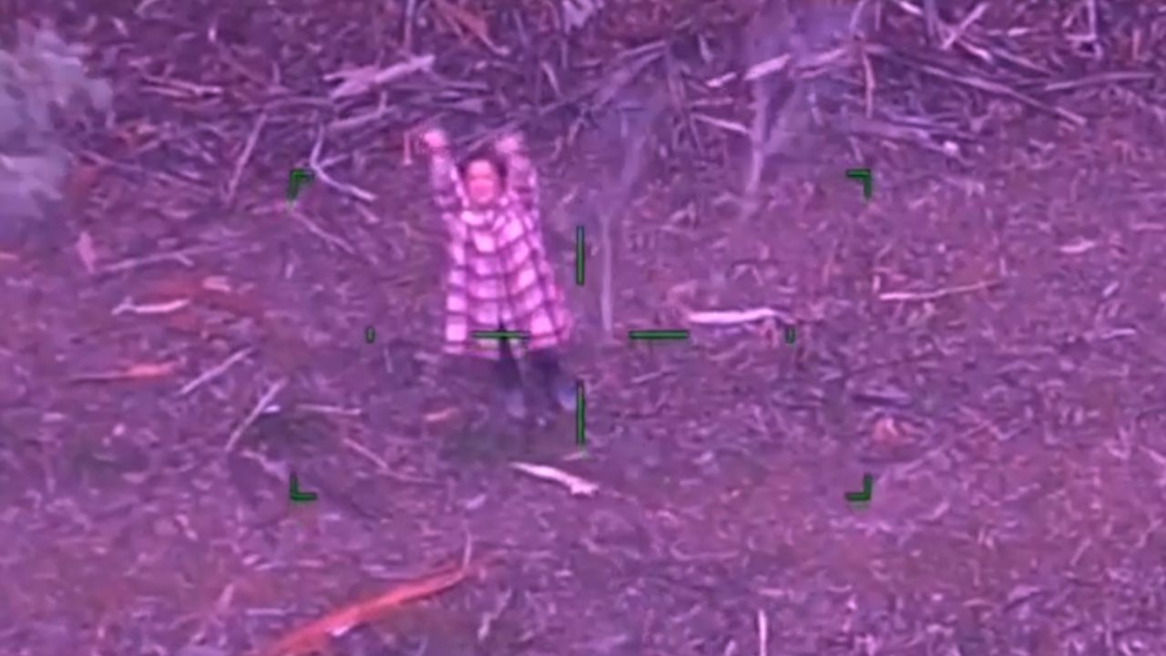 Imagen de Mujer se extravía en un bosque y sobrevive 5 días a base de dulces y vino