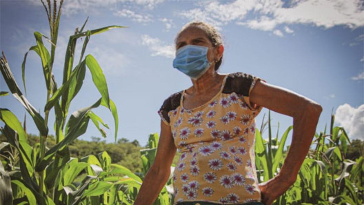 Imagen de Mujeres indígenas lencas y campesinas lideran defensa de sus territorios en Honduras