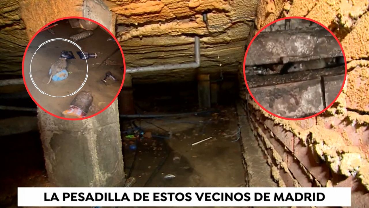 VIDEO: Pobladores de Madrid viven en medio de ratas y aguas residuales Imagen de VIDEO: Pobladores de Madrid viven en medio de ratas y aguas residuales