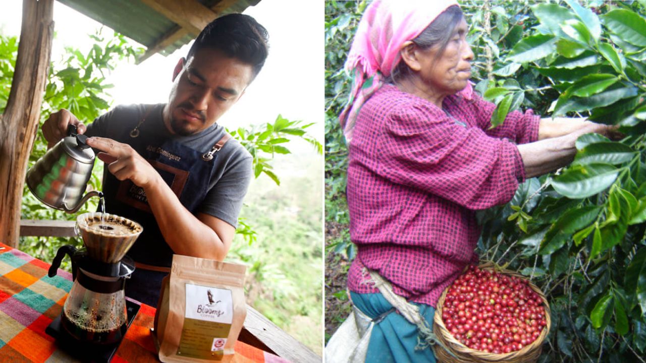 En Marcala se producen diversas variedades de café, entre las cuales destacan el catuai, icatu, borbón y obata. Foto: Honduras Tips, Café Marcala